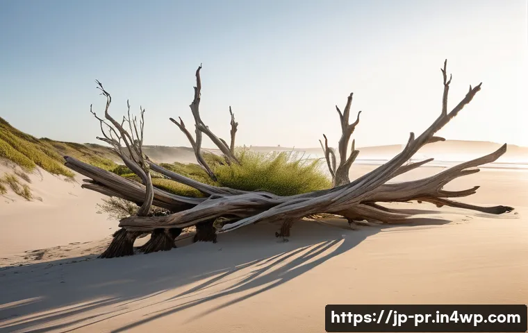 장소 특정적 예술에 대한 비판적 시각 - **Prompt 1: Ephemeral Art in a Coastal Landscape**
    "A breathtaking wide-angle shot of a serene, ...